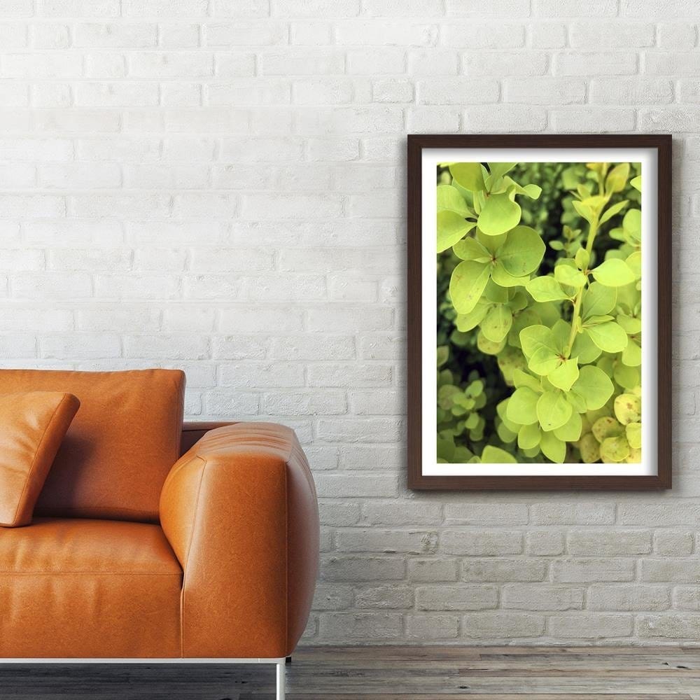 Glezna brūnā rāmī - Green Plant Home Trends DECO