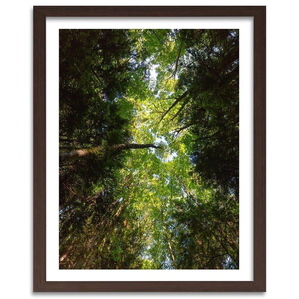 Glezna brūnā rāmī - Green Treetops Home Trends DECO