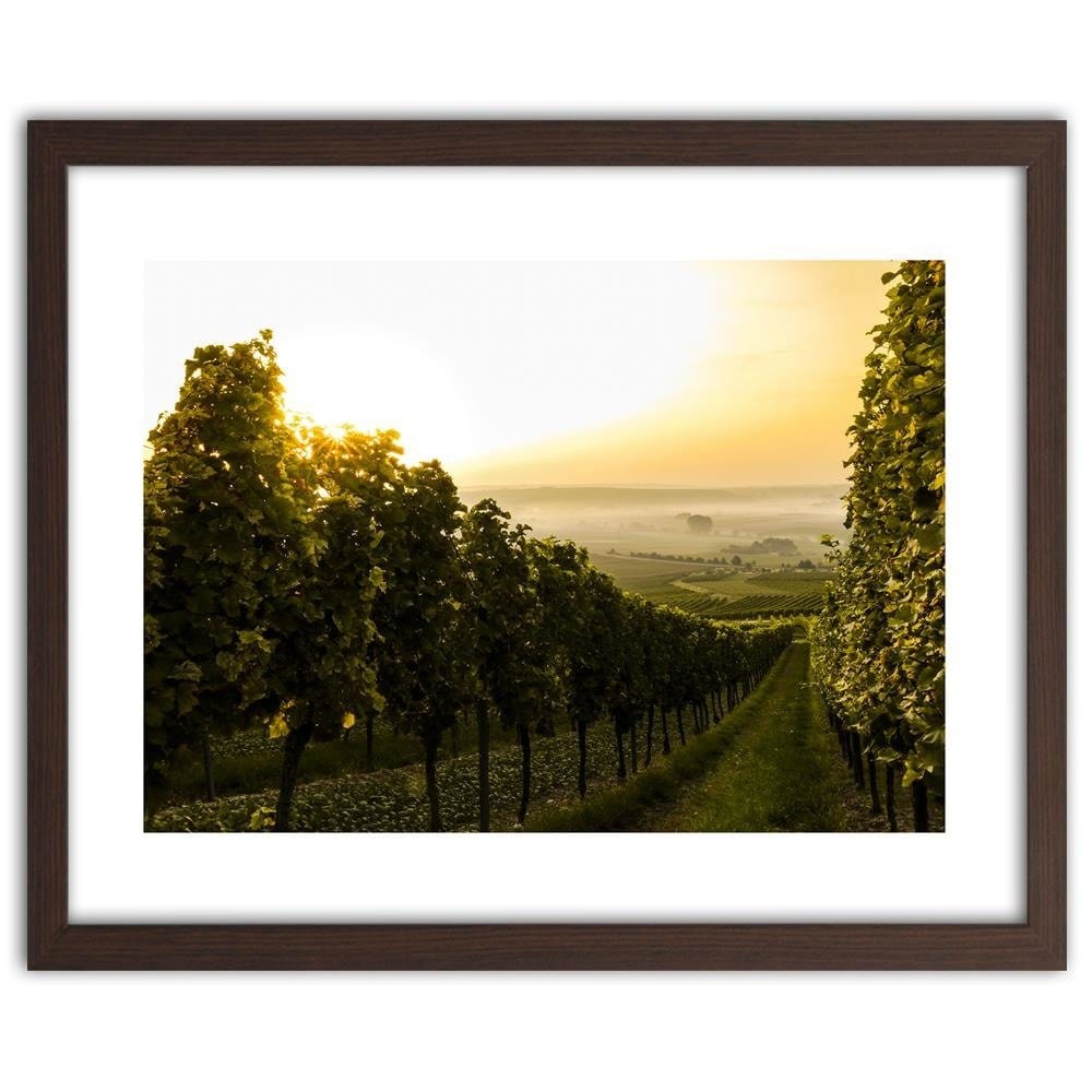 Glezna brūnā rāmī - Green Vineyards Home Trends DECO
