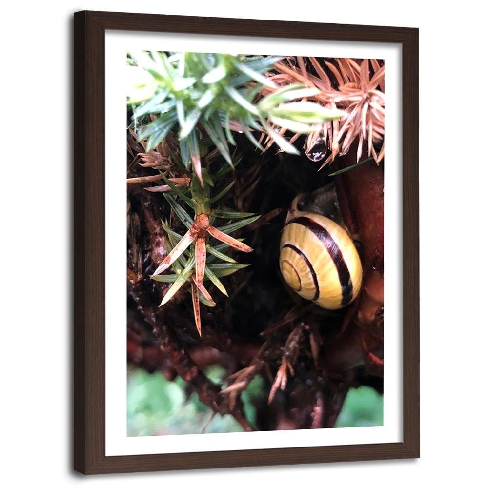 Glezna brūnā rāmī - Hideout Worm Home Trends DECO