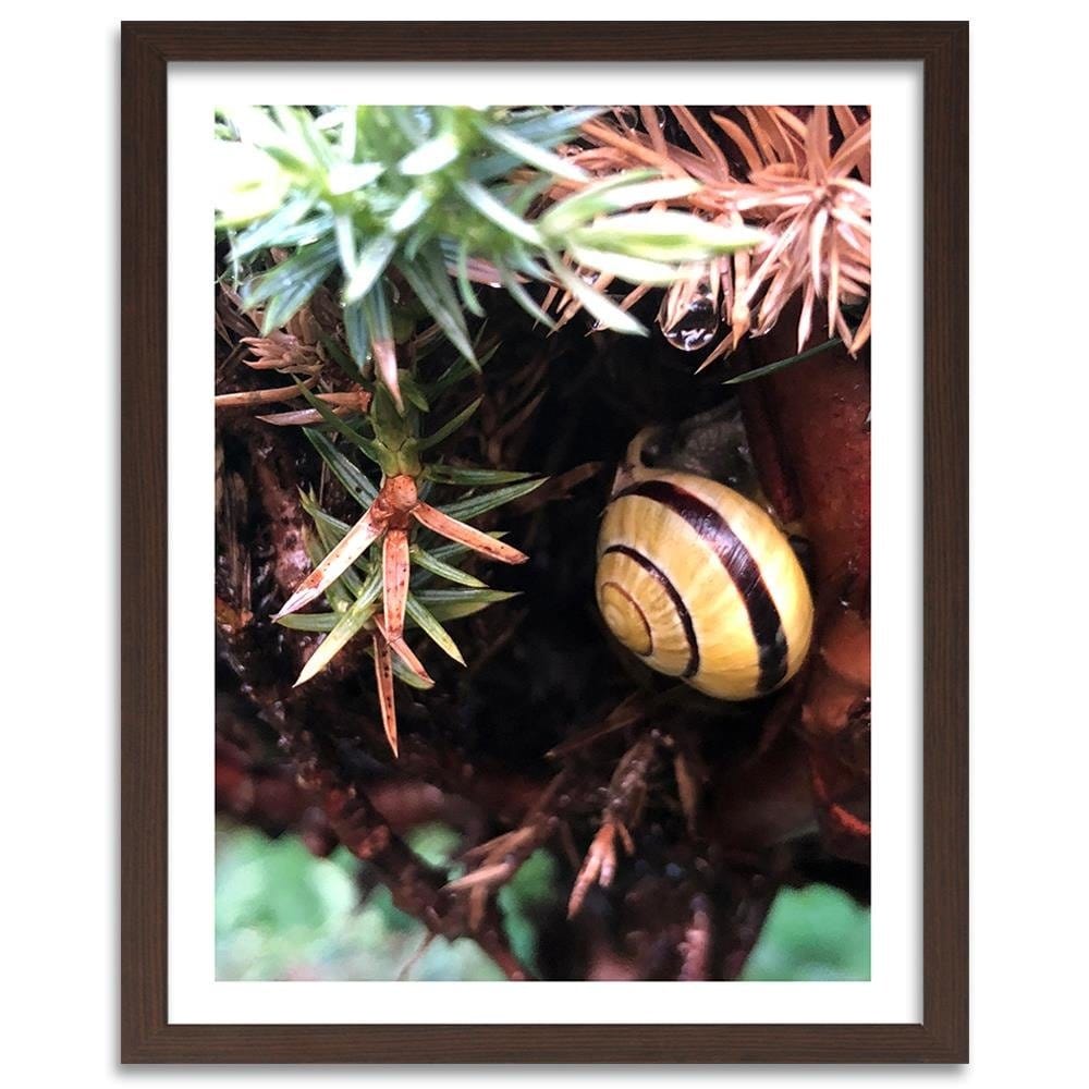 Glezna brūnā rāmī - Hideout Worm Home Trends DECO