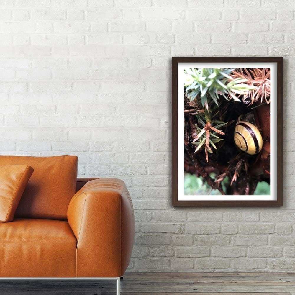 Glezna brūnā rāmī - Hideout Worm Home Trends DECO