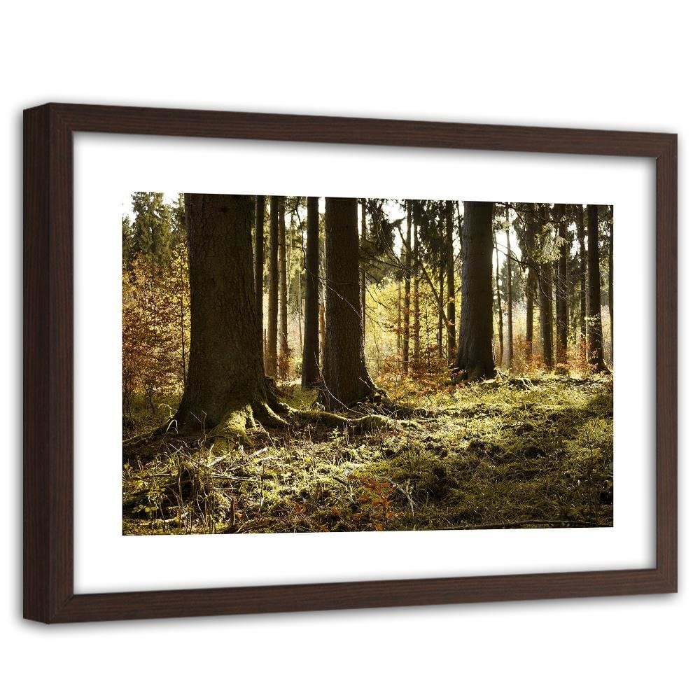 Glezna brūnā rāmī - In The Forest Home Trends DECO
