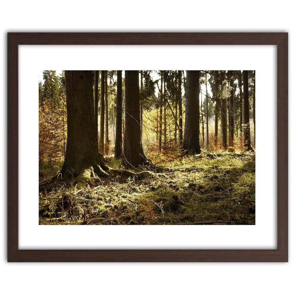 Glezna brūnā rāmī - In The Forest Home Trends DECO
