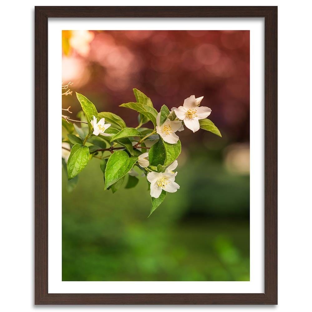 Glezna brūnā rāmī - Jasmine Flowers Home Trends DECO