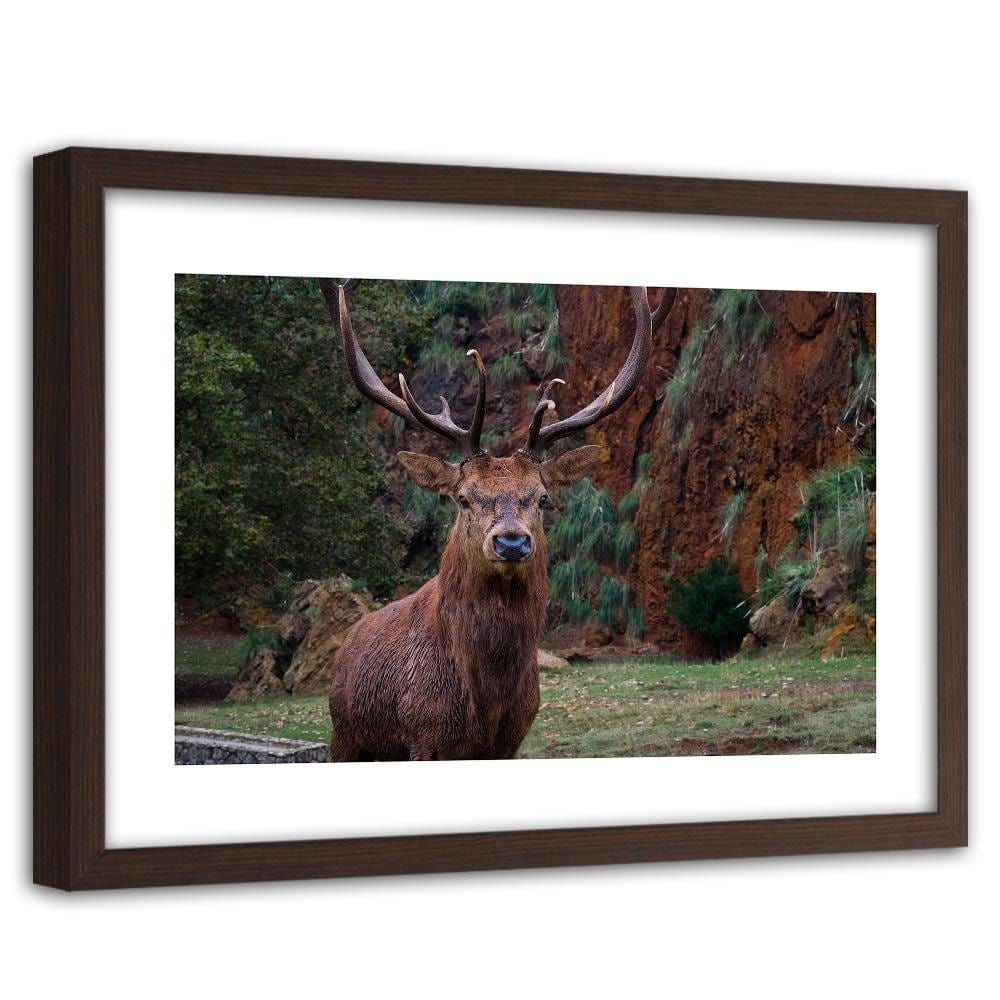 Glezna brūnā rāmī - King Of The Forest Home Trends DECO