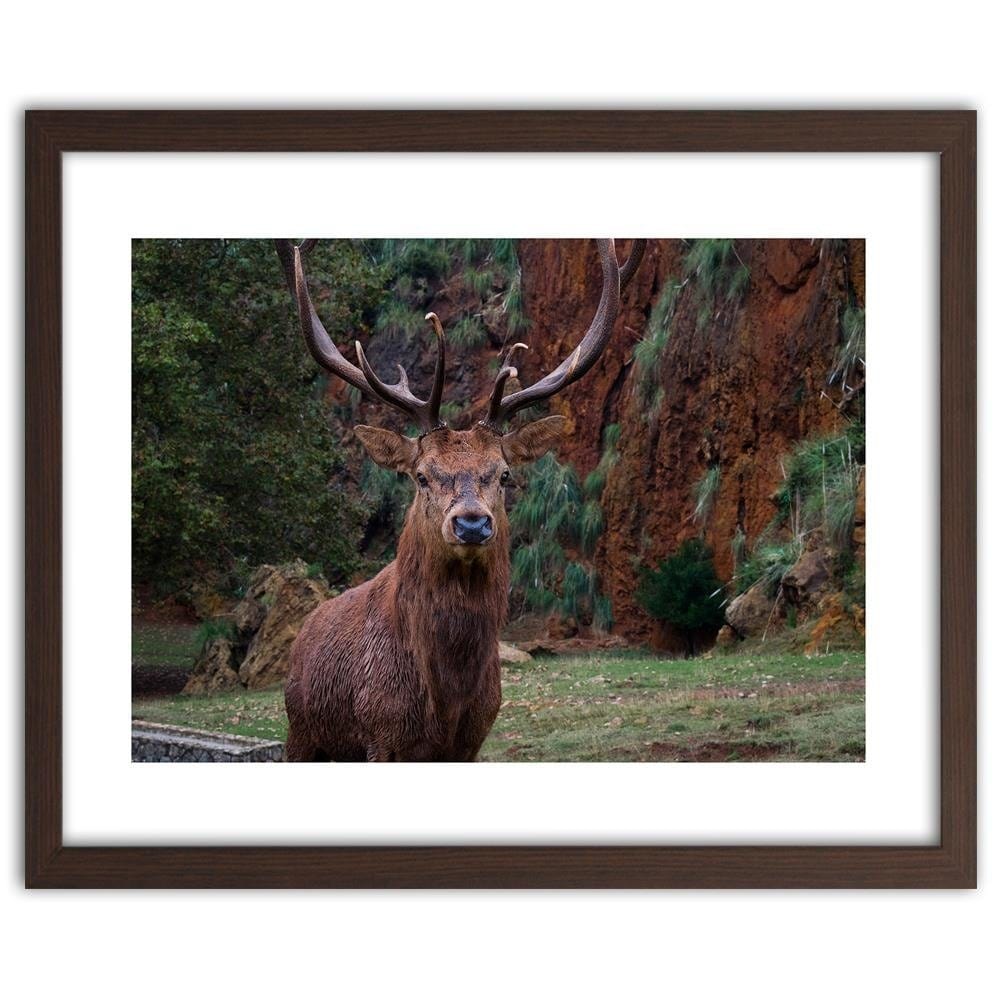 Glezna brūnā rāmī - King Of The Forest Home Trends DECO