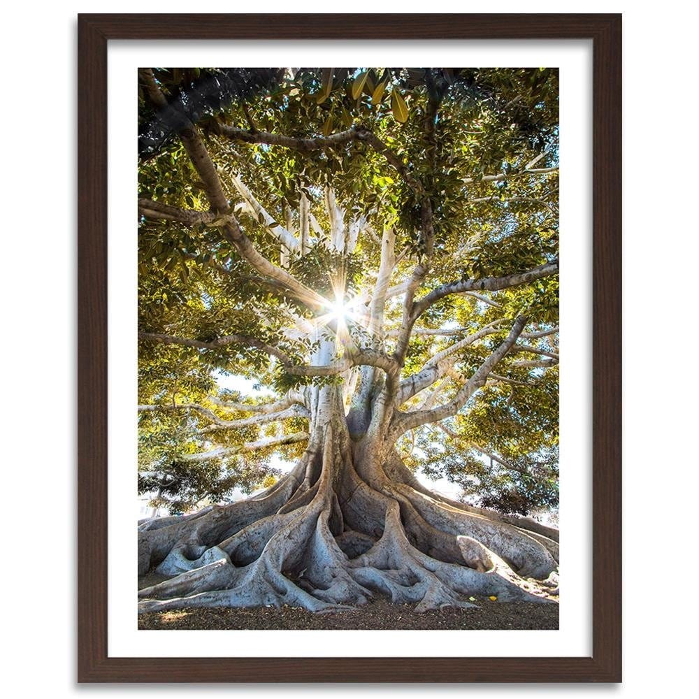 Glezna brūnā rāmī - Large Exotic Tree Home Trends DECO