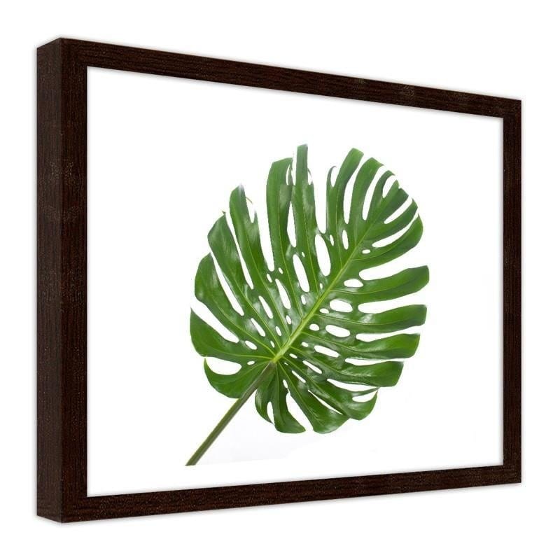 Glezna brūnā rāmī - Large leaf Home Trends DECO