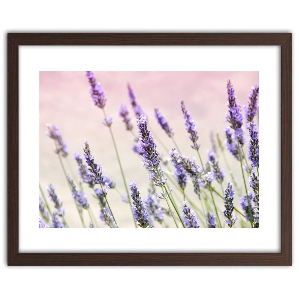 Glezna brūnā rāmī - Lavender Flowers Home Trends DECO