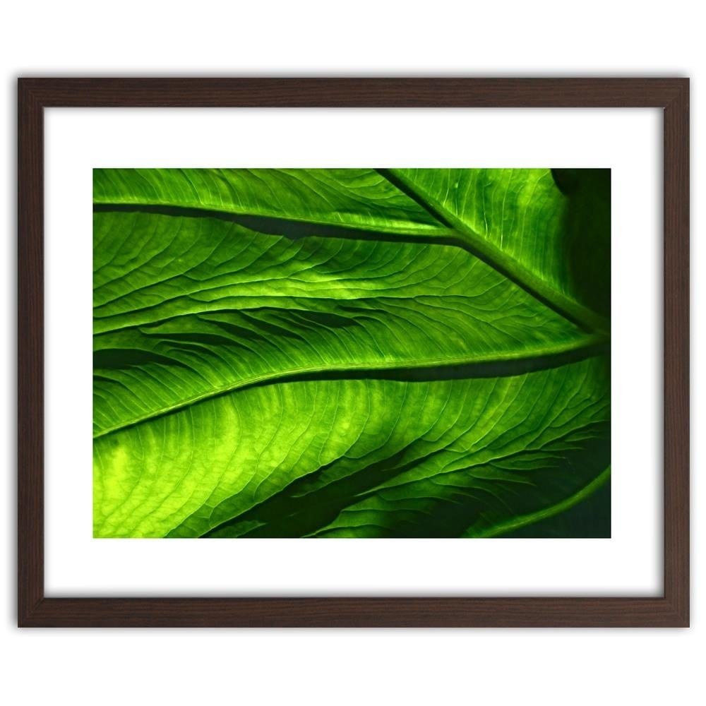 Glezna brūnā rāmī - Leaf Structure Home Trends DECO