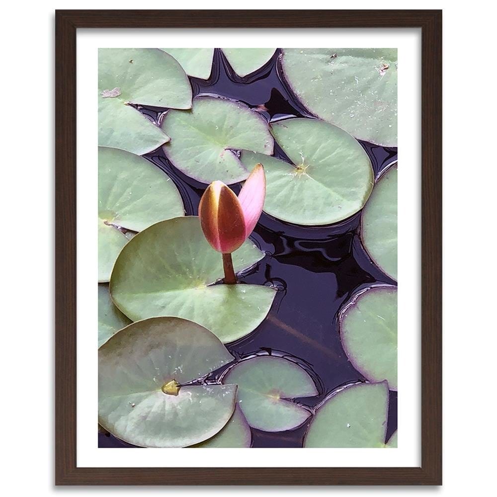 Glezna brūnā rāmī - Leaves Of Water Lilies Home Trends DECO