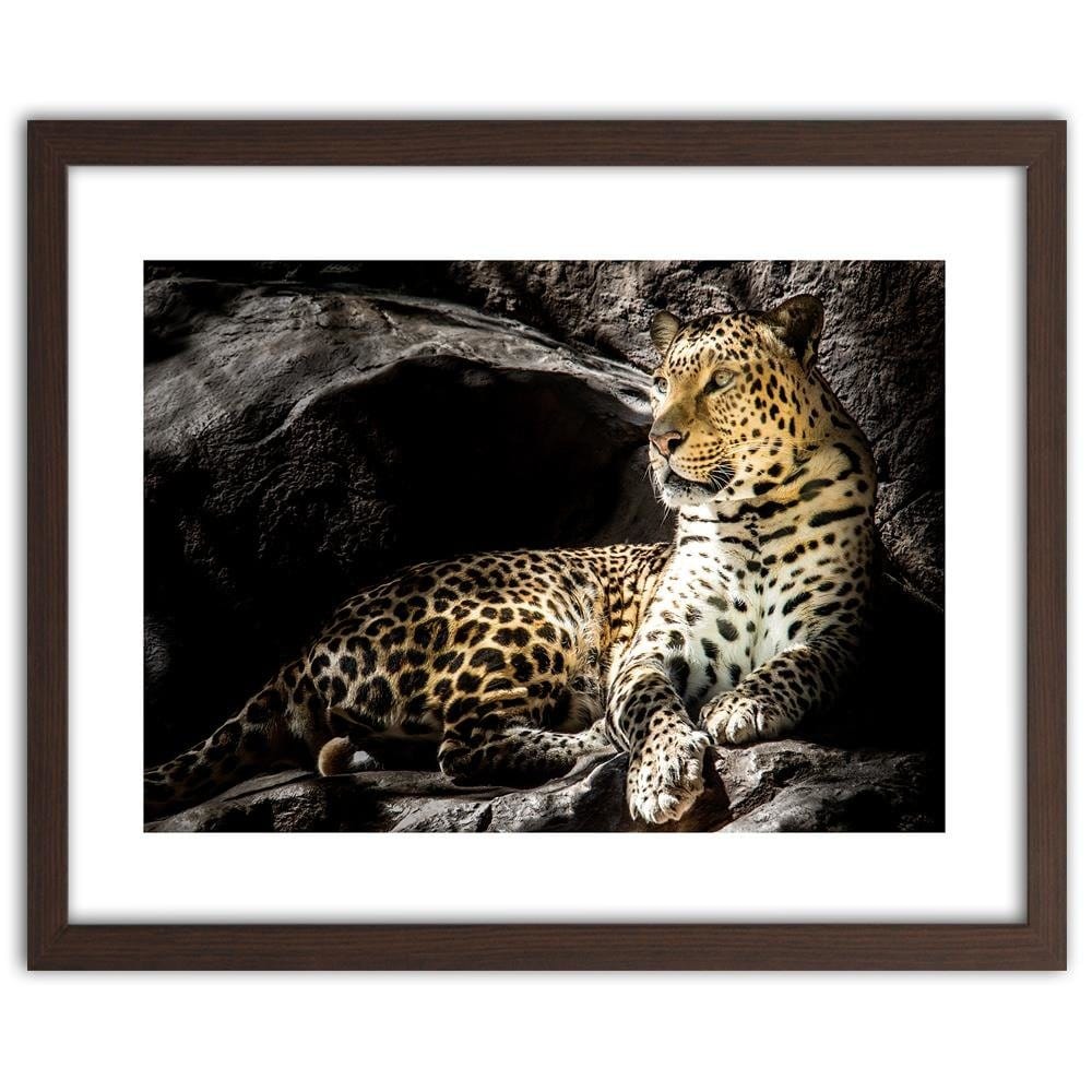 Glezna brūnā rāmī - Leopard On The Rocks Home Trends DECO