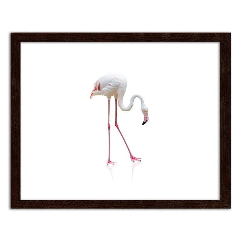 Glezna brūnā rāmī - Lonely flamingo Home Trends DECO