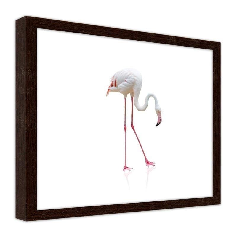 Glezna brūnā rāmī - Lonely flamingo Home Trends DECO