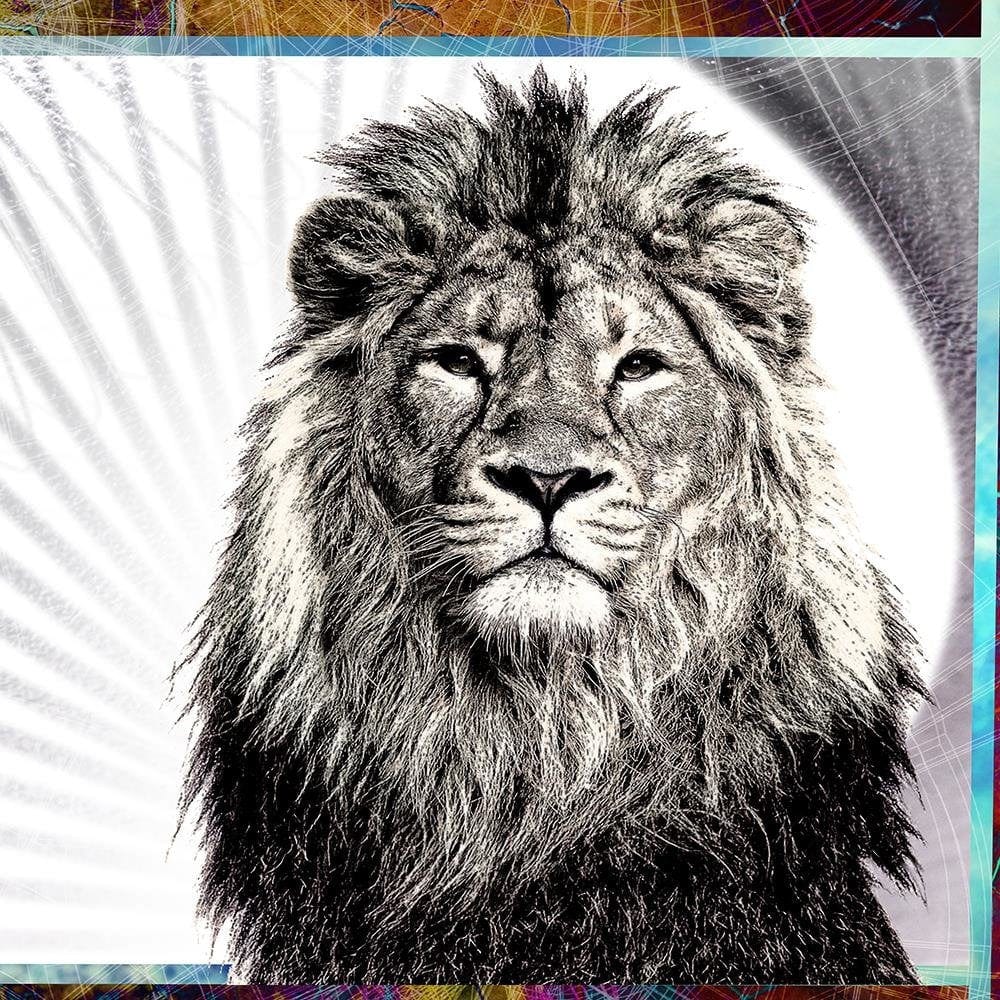 Glezna brūnā rāmī - Majestic Lion Home Trends DECO