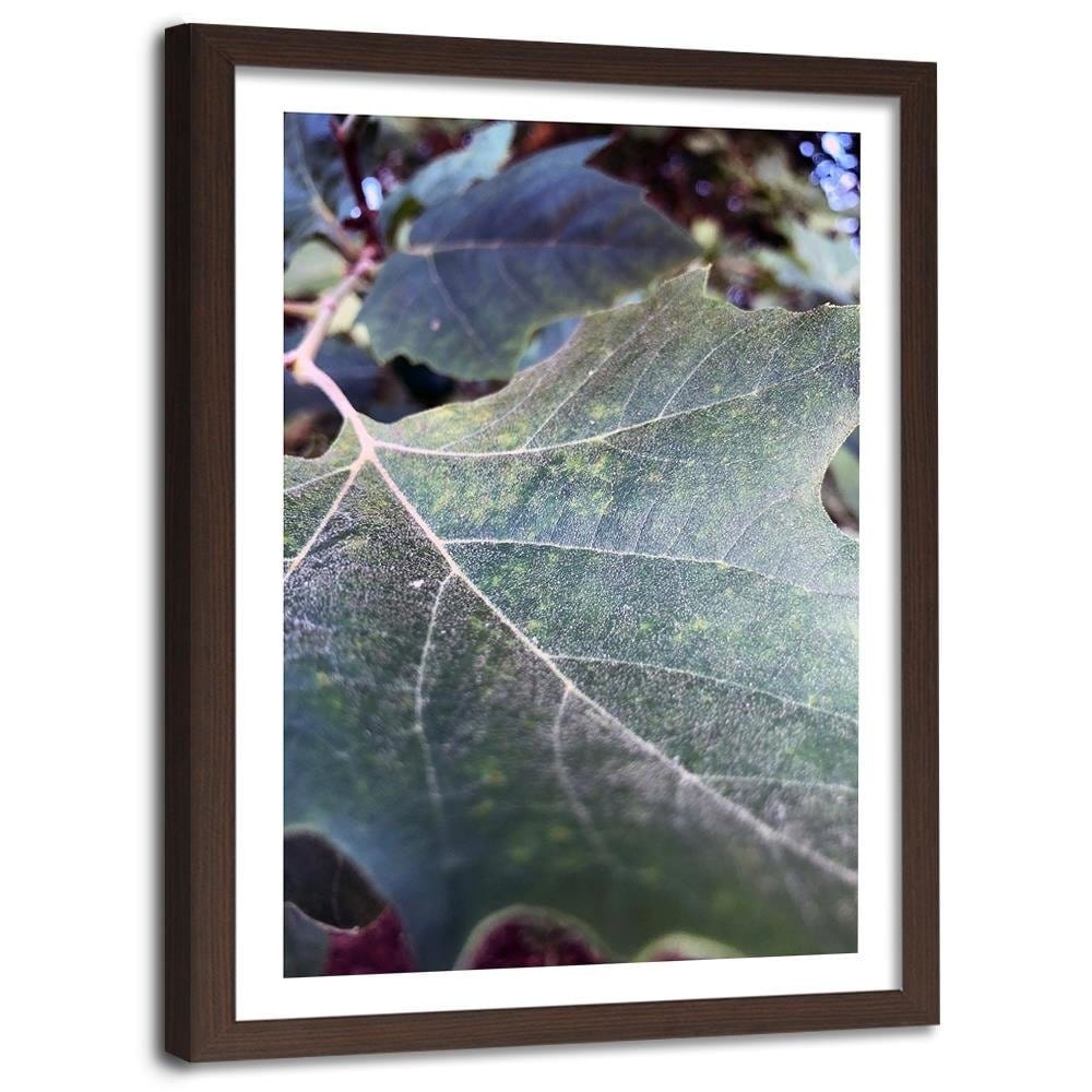 Glezna brūnā rāmī - Maple Leaf 2 Home Trends DECO