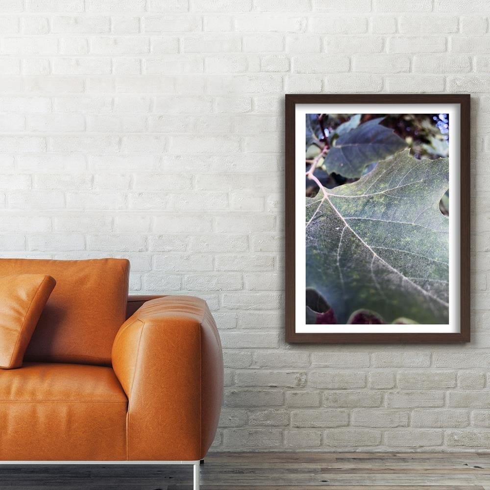 Glezna brūnā rāmī - Maple Leaf 2 Home Trends DECO