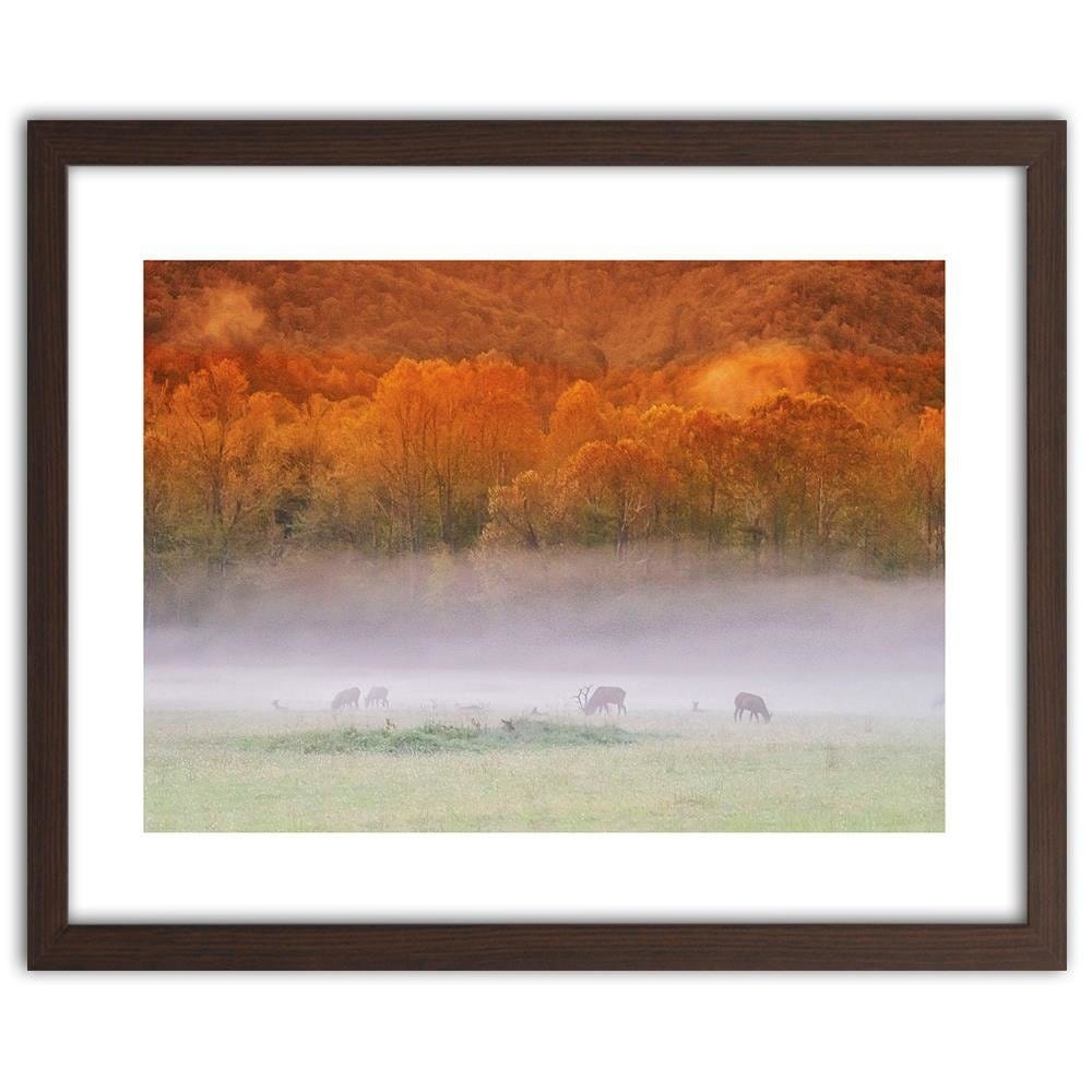 Glezna brūnā rāmī - Mist Over Rykowiskiem Home Trends DECO