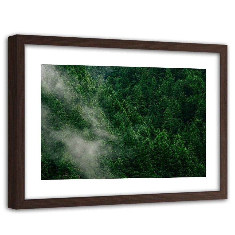 Glezna brūnā rāmī - Mist Over The Forest Home Trends DECO