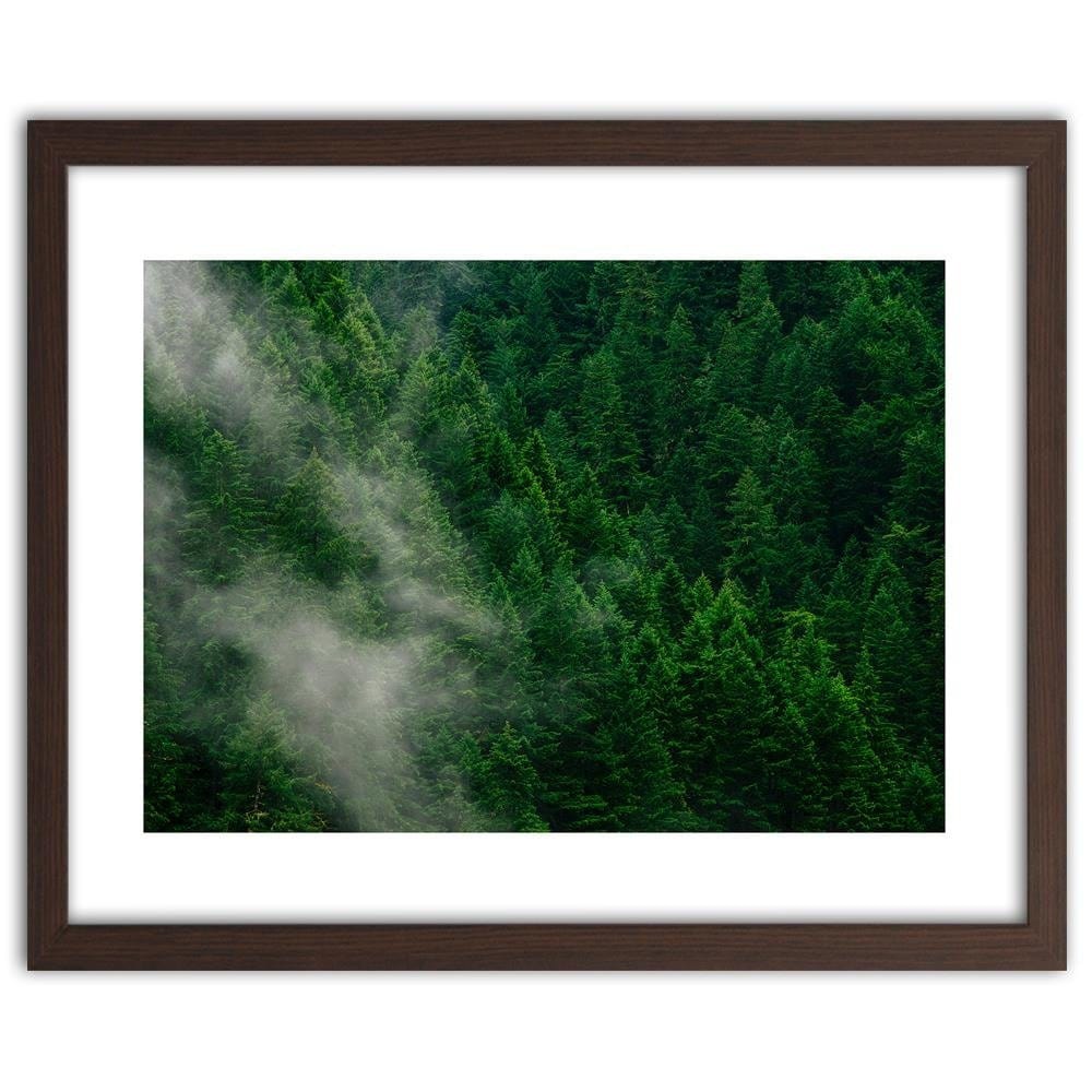 Glezna brūnā rāmī - Mist Over The Forest Home Trends DECO