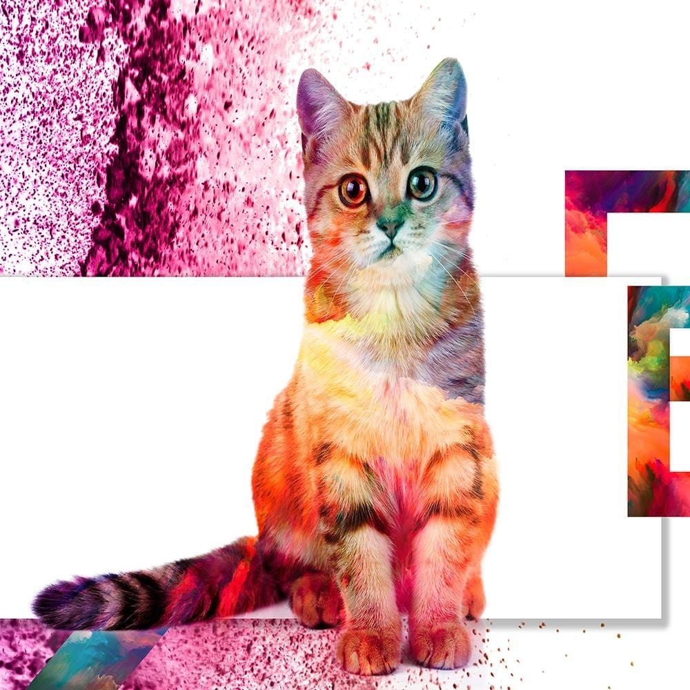 Glezna brūnā rāmī - Multi-Cat Home Trends DECO
