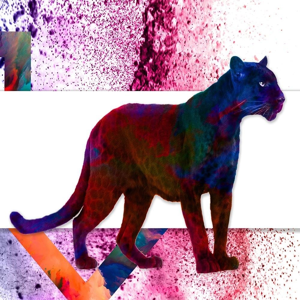 Glezna brūnā rāmī - Multi Panther Home Trends DECO
