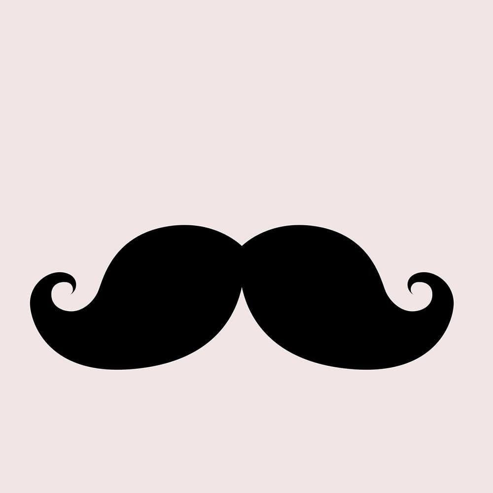 Glezna brūnā rāmī - Mustache Home Trends DECO