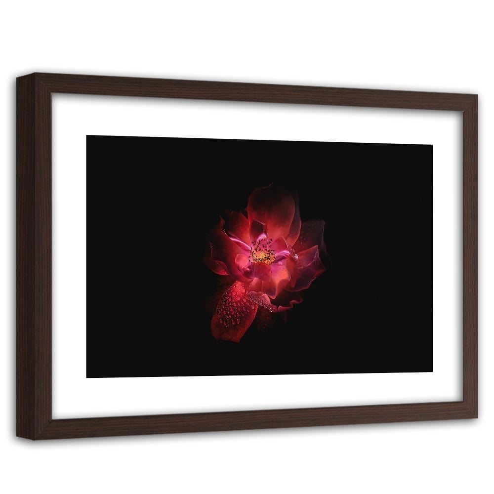 Glezna brūnā rāmī - Night Flower Home Trends DECO