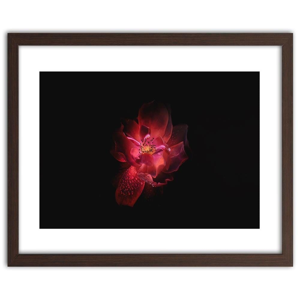 Glezna brūnā rāmī - Night Flower Home Trends DECO