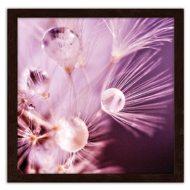 Glezna brūnā rāmī - Nun seeds and water drops Home Trends DECO
