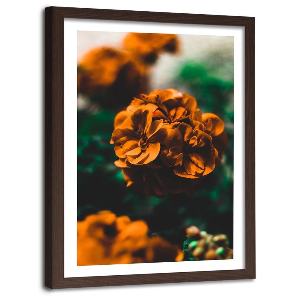 Glezna brūnā rāmī - Orange Flowers Home Trends DECO