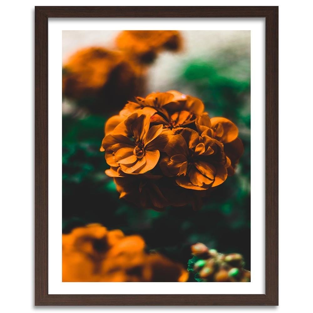 Glezna brūnā rāmī - Orange Flowers Home Trends DECO