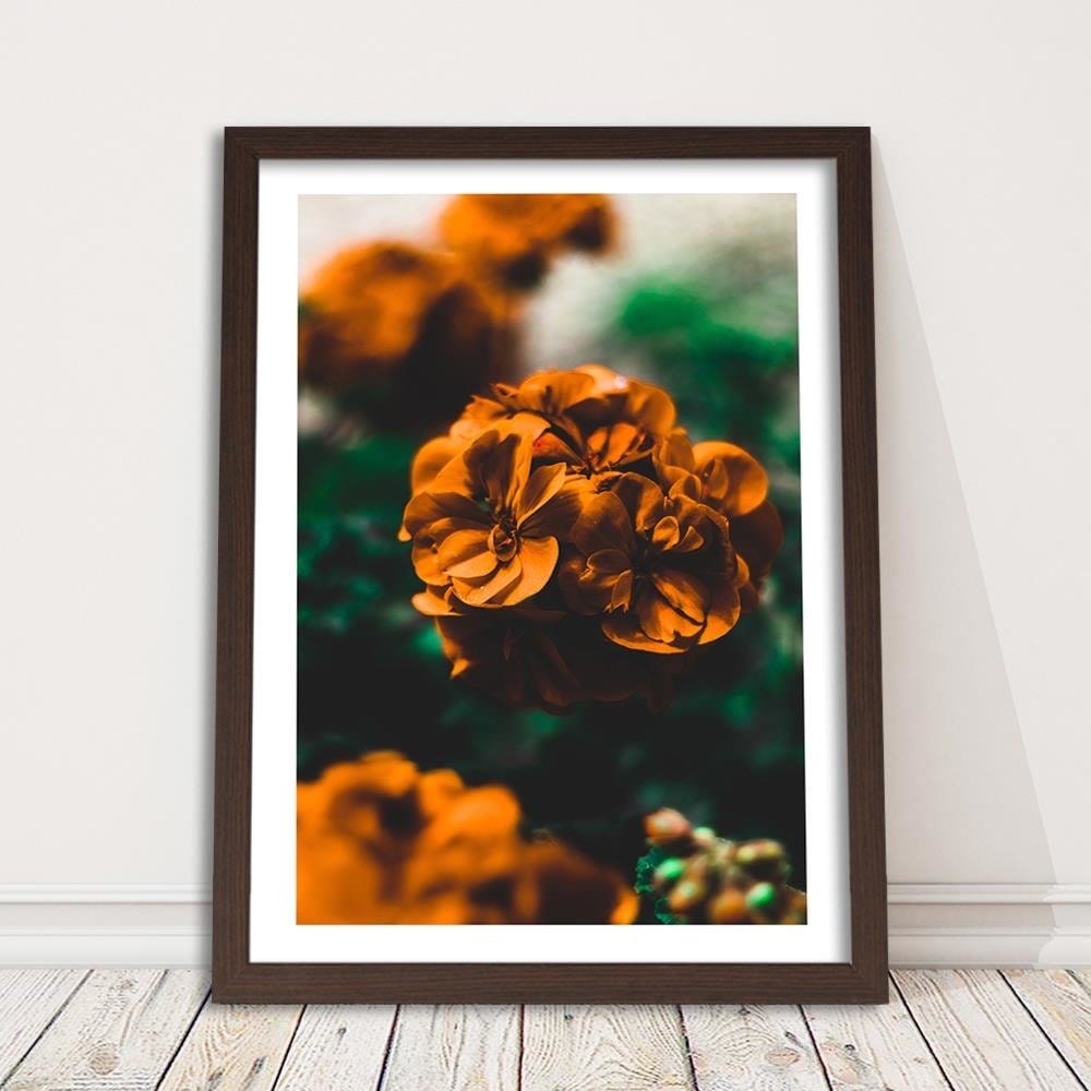 Glezna brūnā rāmī - Orange Flowers  Home Trends DECO