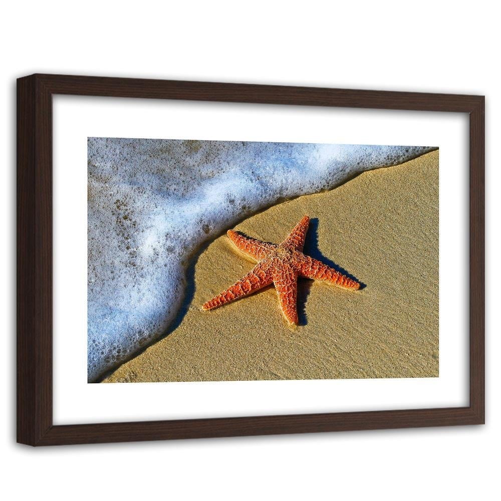 Glezna brūnā rāmī - Orange Starfish Home Trends DECO