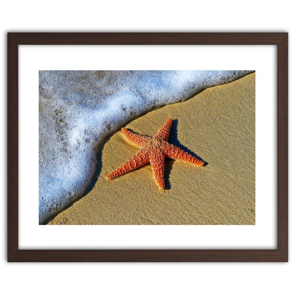 Glezna brūnā rāmī - Orange Starfish Home Trends DECO