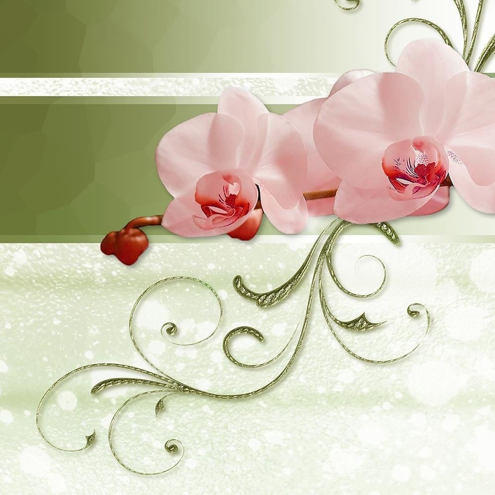 Glezna brūnā rāmī - Orchids Abstraction 4 Home Trends DECO