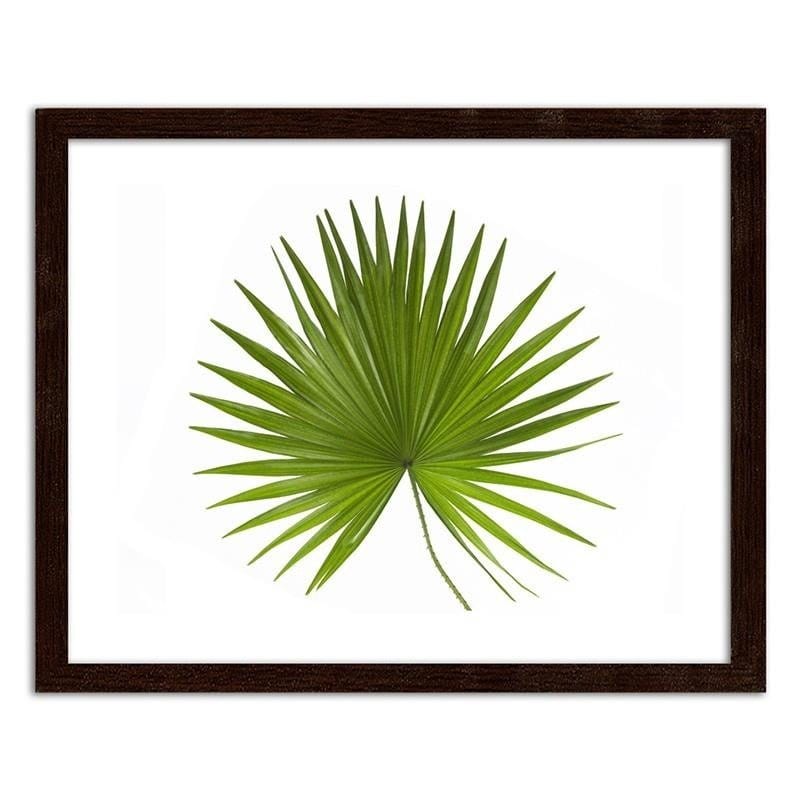Glezna brūnā rāmī - Palm leaf Home Trends DECO