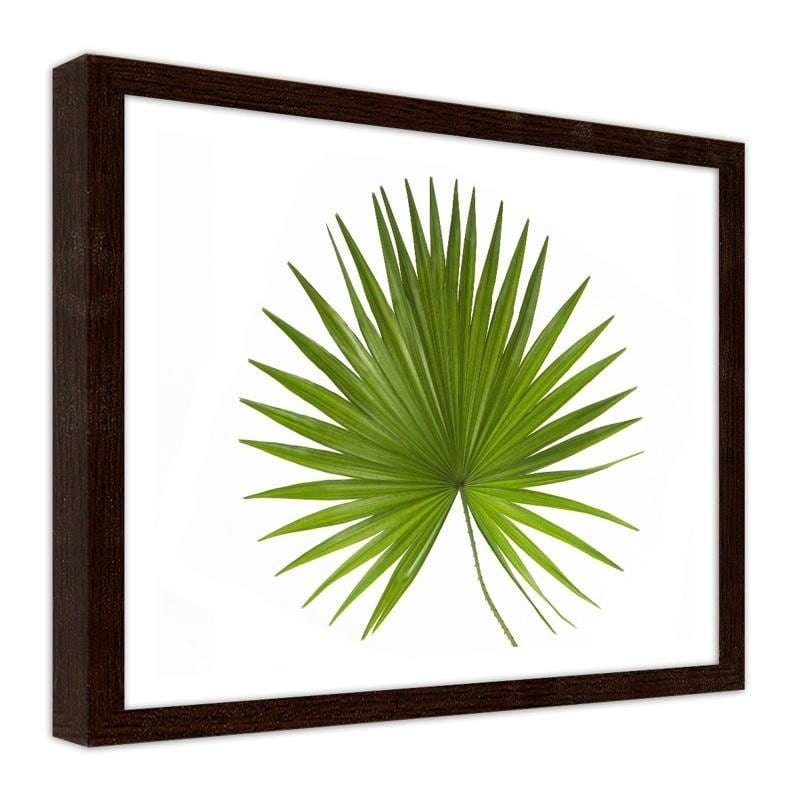 Glezna brūnā rāmī - Palm leaf Home Trends DECO