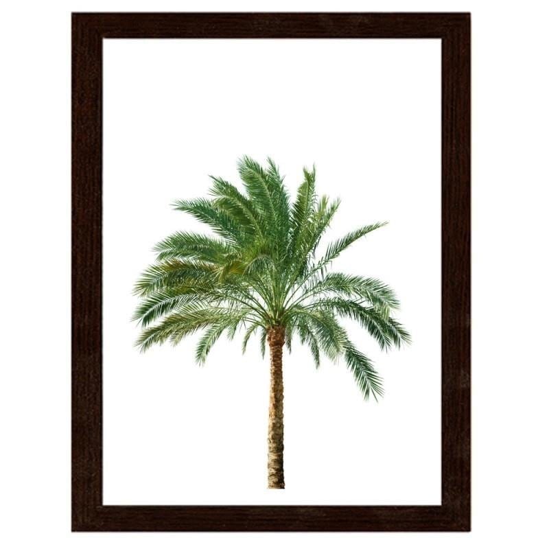 Glezna brūnā rāmī - Palm on white background Home Trends DECO
