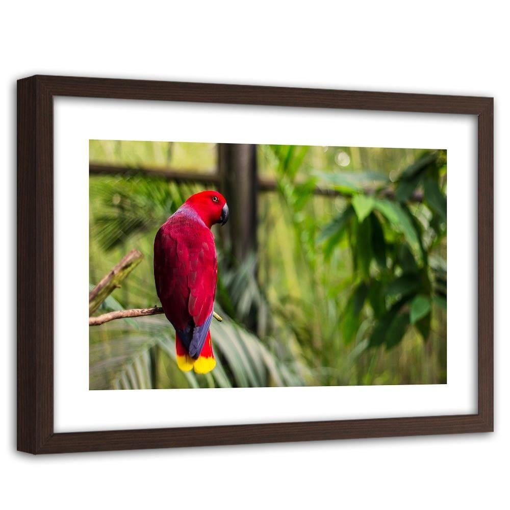 Glezna brūnā rāmī - Paradise Parrot Home Trends DECO