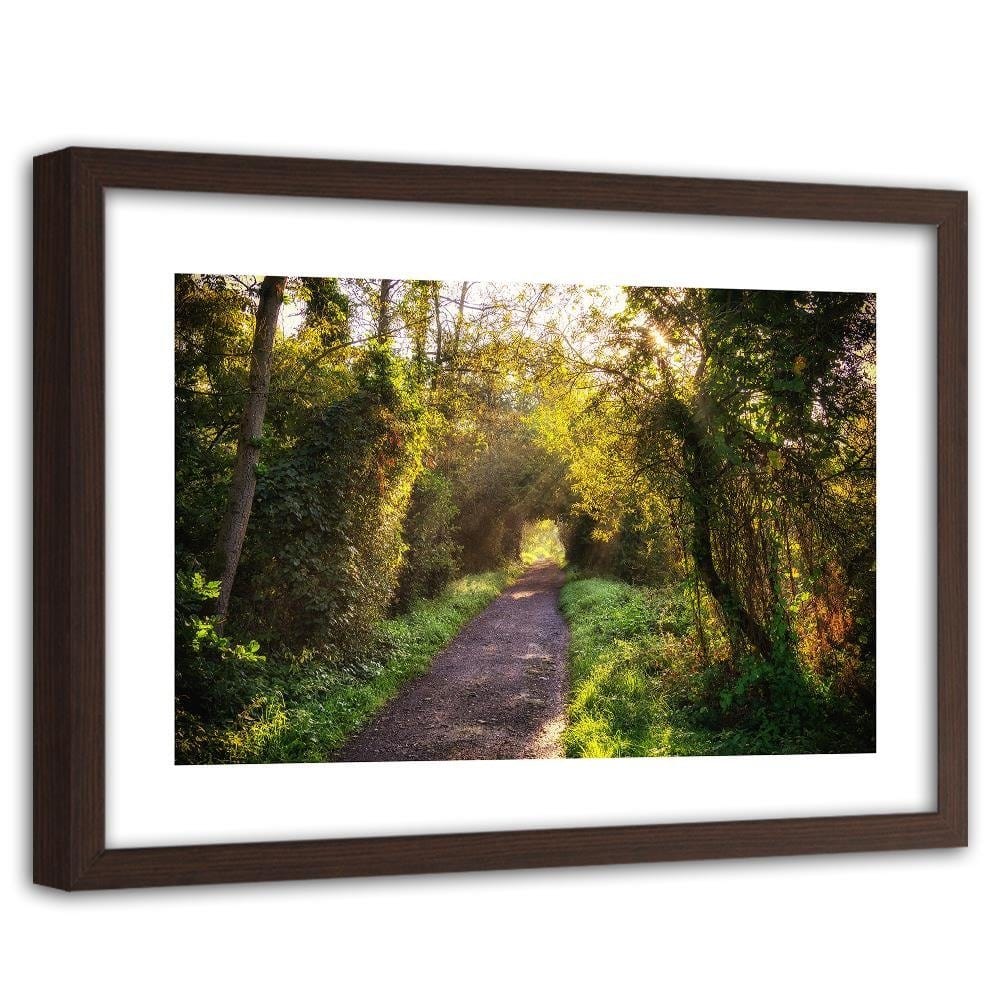 Glezna brūnā rāmī - Path In Dense Forest Home Trends DECO