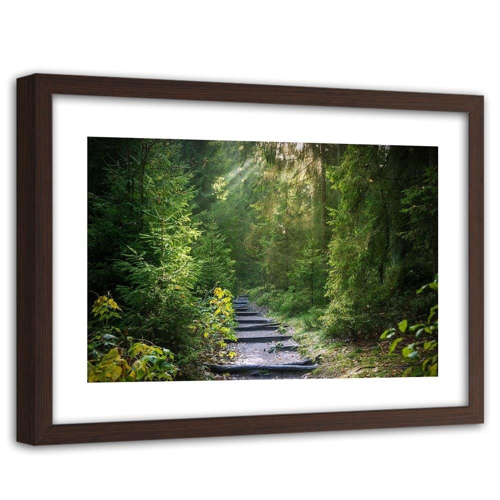 Glezna brūnā rāmī - Path In Green Forest Home Trends DECO