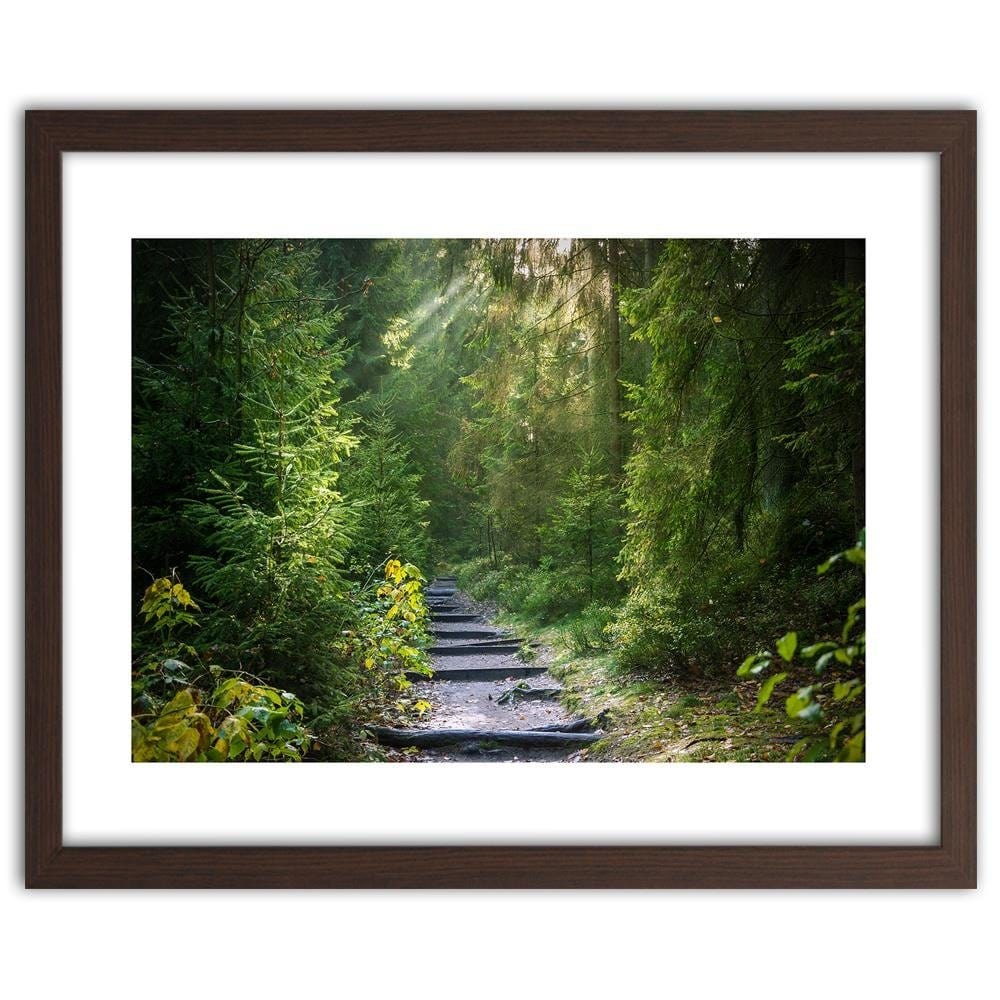 Glezna brūnā rāmī - Path In Green Forest Home Trends DECO