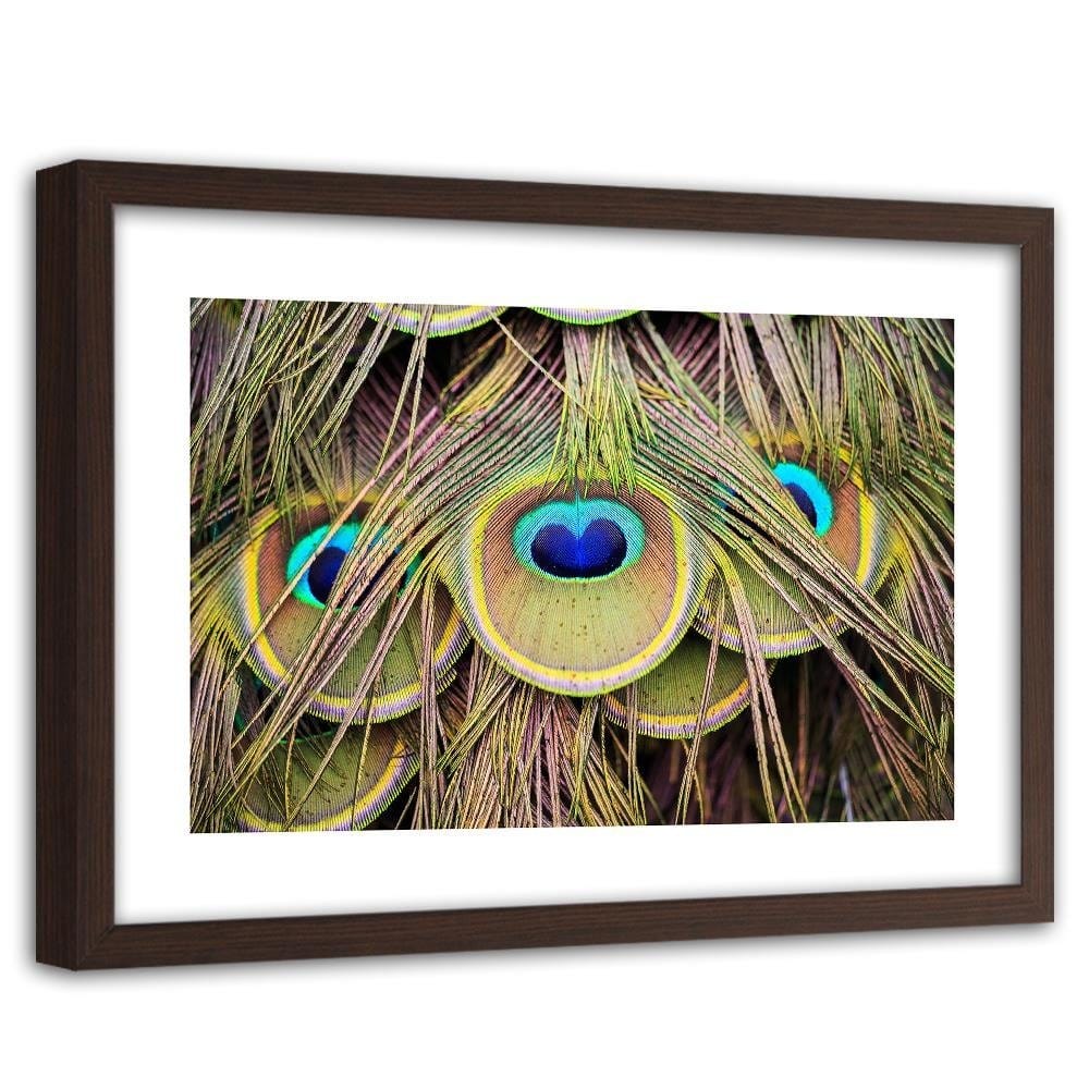 Glezna brūnā rāmī - Peacock Feathers Home Trends DECO