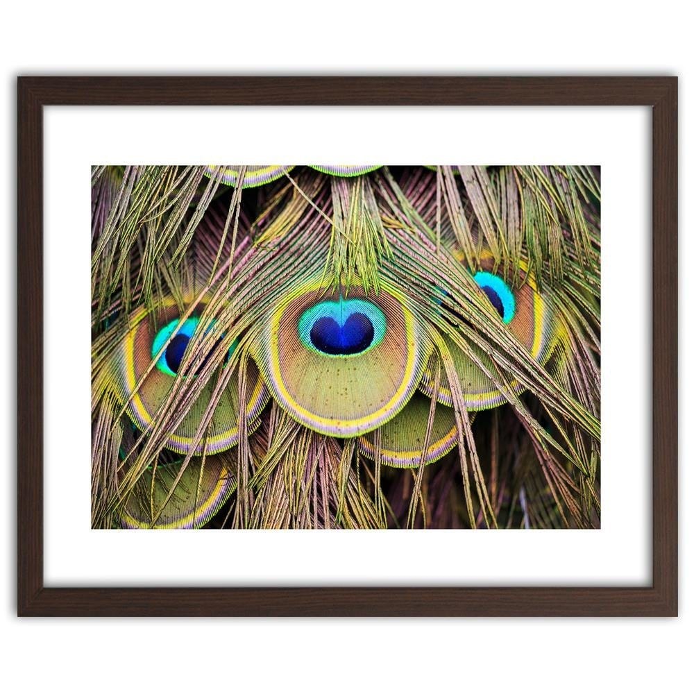 Glezna brūnā rāmī - Peacock Feathers Home Trends DECO