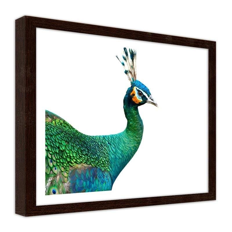 Glezna brūnā rāmī - Peacock head Home Trends DECO