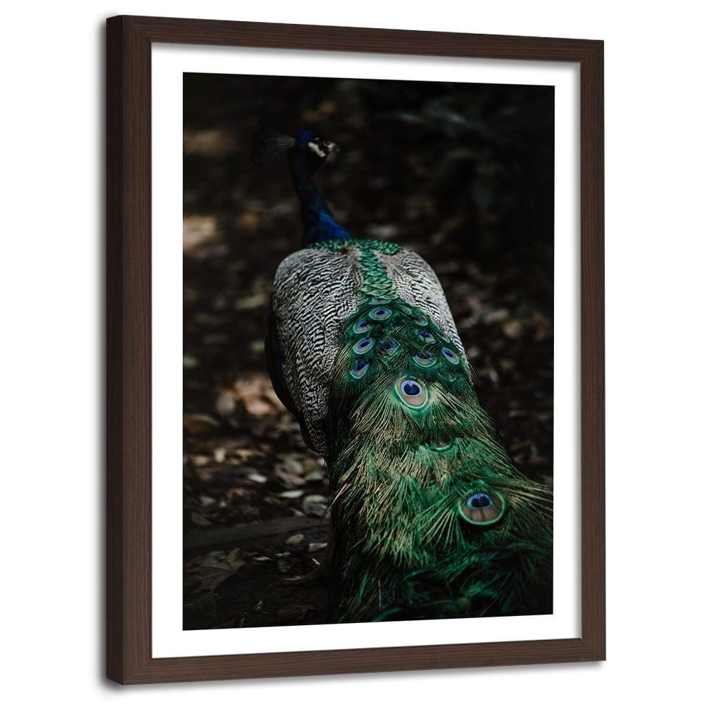 Glezna brūnā rāmī - Peacock's Tail Home Trends DECO