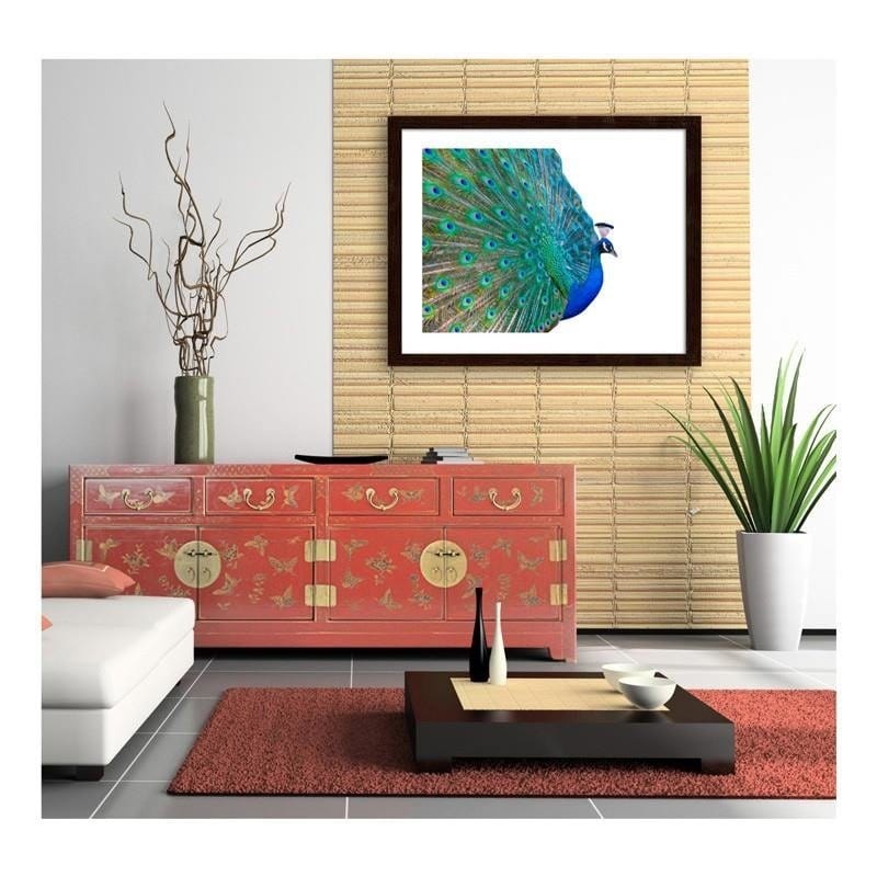 Glezna brūnā rāmī - Peacock with a tail spread out Home Trends DECO