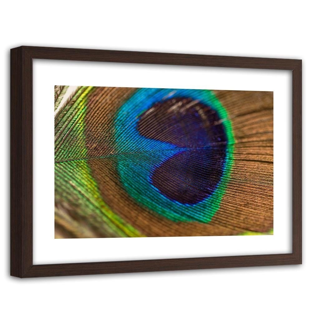 Glezna brūnā rāmī - Peacocks Eye Home Trends DECO